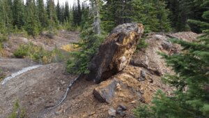 High-Grade Drill Results Unveil Growth Potential at Promising Alaska Polymetallic Project