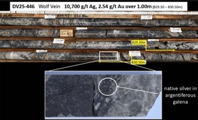 Dolly Varden Intersects 1,422 G/T Silver Over 21.7 Meters at Wolf Vein