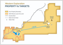 Explorer Confirms Exceptional Gold Economics in Nevada