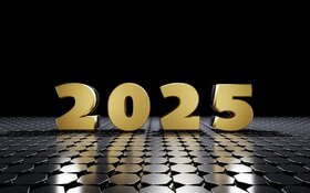 2025 Investment Outlook: Finding Alpha Through Strategic Focus