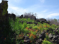 Explorer Finds High-Grade Gold-Silver Potential in Nevada