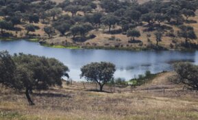 New US Listing Brings High-Grade Polymetallic Project Into Focus