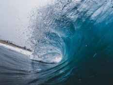 Q4/24 Financial Results of Wave Energy Co. Are a Beat